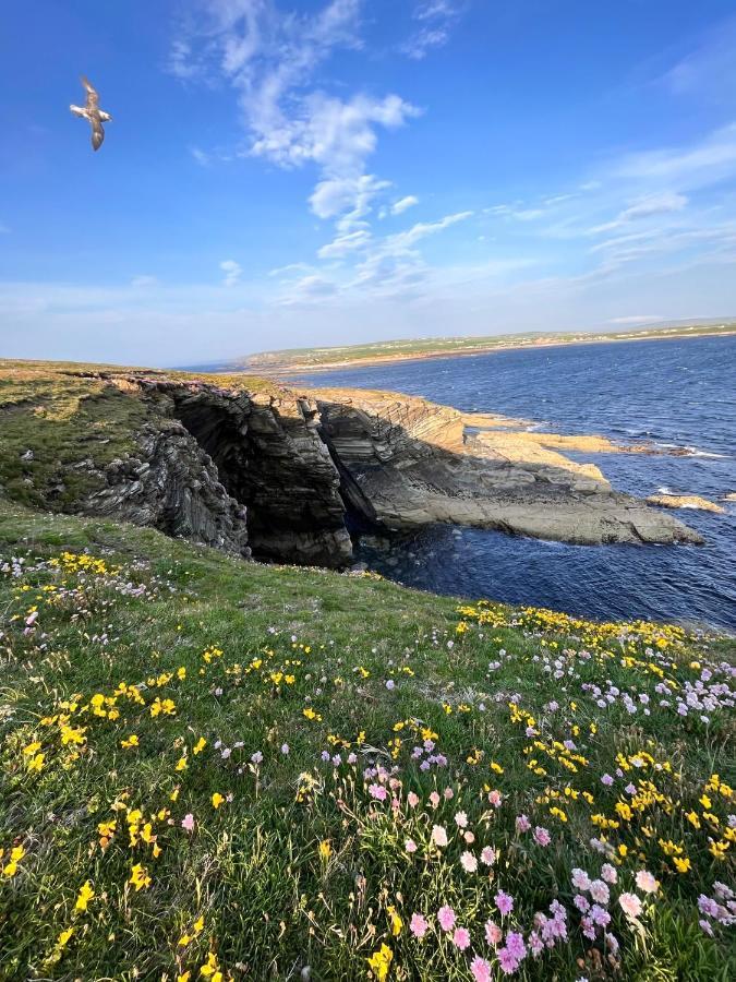 Peedie Cott Self-Catering, Orkney Saint Margarets Hope Dış mekan fotoğraf