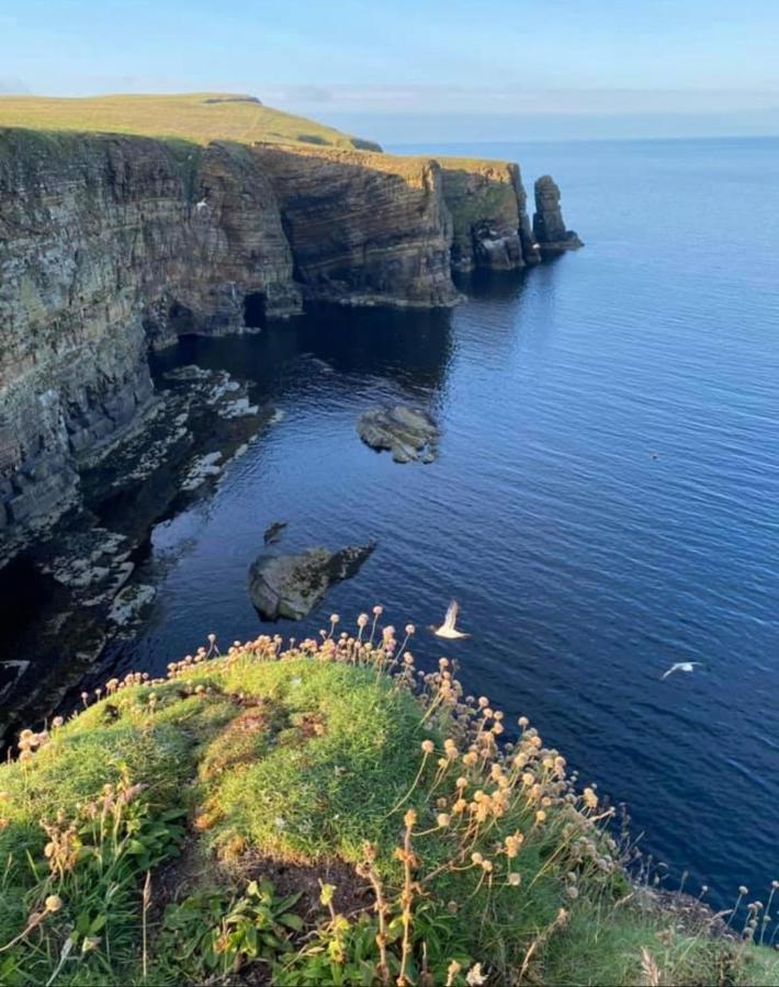 Peedie Cott Self-Catering, Orkney Saint Margarets Hope Dış mekan fotoğraf