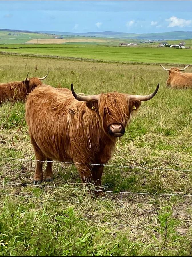 Peedie Cott Self-Catering, Orkney Saint Margarets Hope Dış mekan fotoğraf